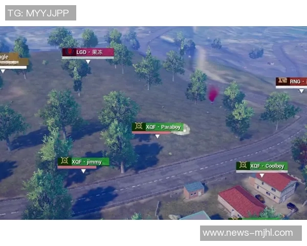 2026电竞新闻和平精英RNG战术引发热议玩家对战术选择展开激烈讨论